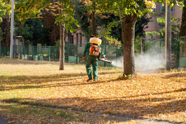 Insect Control in Boonville, IN